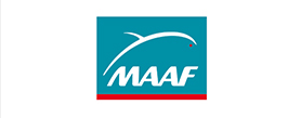 Maaf Maaf